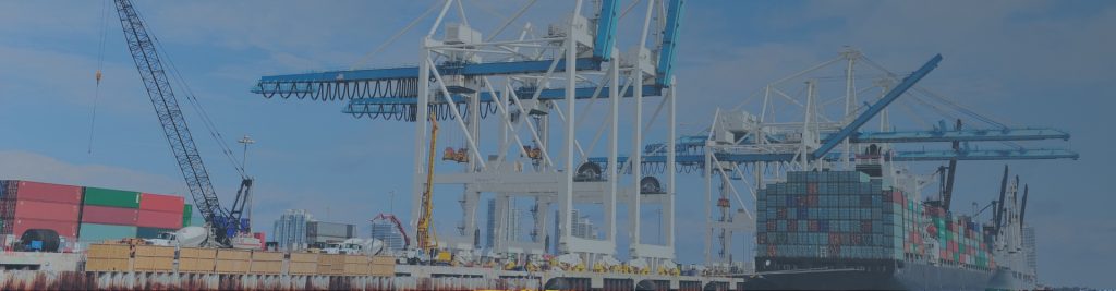 Grúas portuarias y buque portacontenedores en un puerto